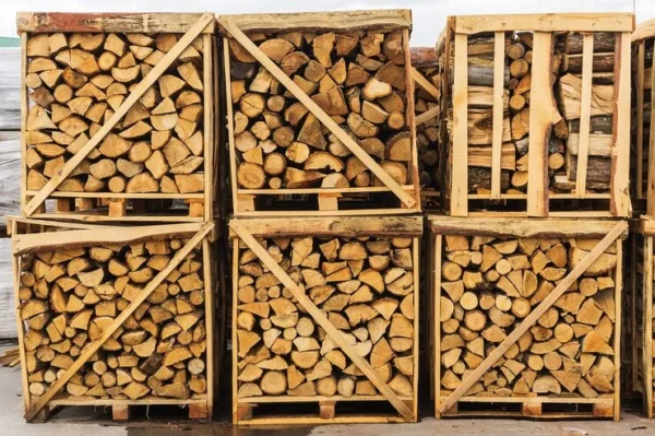 Buchen Brennholz 25cm, auf Palette gestapelt, 1 rm / 1,6 srm – 500 kg – Bild 2